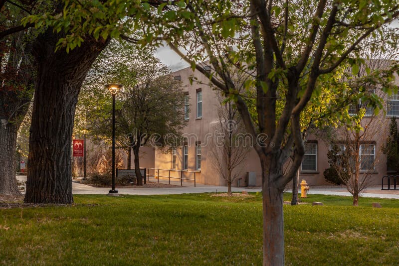 Maxwell Museum of Anthropology.Maxwell Museum of Anthropology