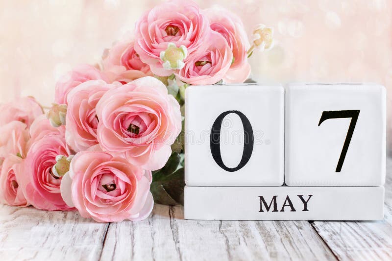 May 7th Calendar Blocks with Pink Ranunculus Stock Image Image of