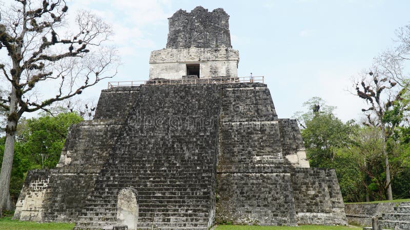 Maya-ruïnes van Tikal. Oude Maya-tempel, Petén, Guatemala royalty-vrije stock fotografie