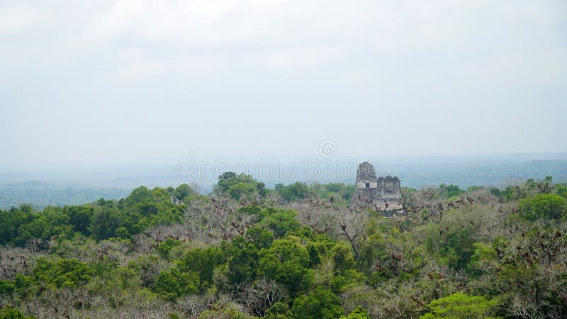 Maya-ruïnes van Tikal. Oude Maya-tempel, Petén, Guatemala stock afbeelding