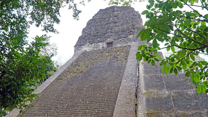 Maya-ruïnes van Tikal. Oude Maya-tempel, Petén, Guatemala royalty-vrije stock afbeelding