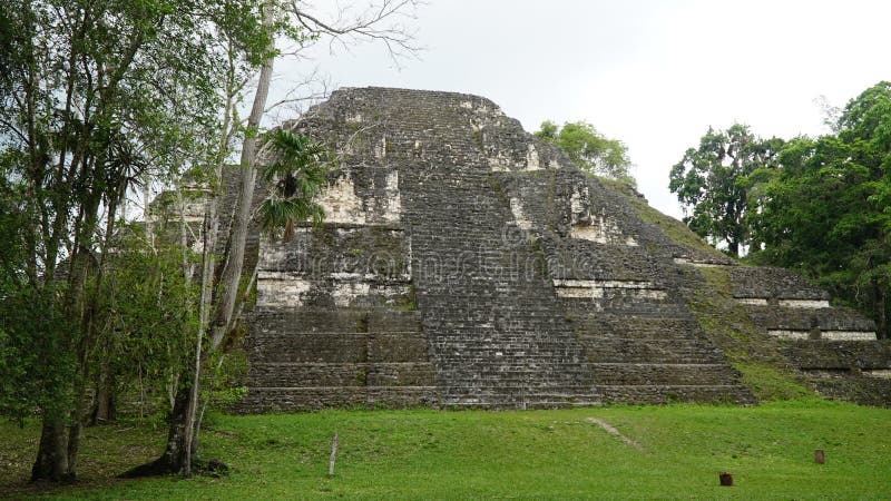Maya-ruïnes van Tikal. Oude Maya-tempel, Petén, Guatemala royalty-vrije stock fotografie