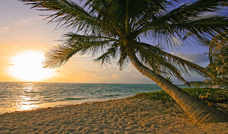 Maya van Riviera de Zonsopgang van het Strand royalty-vrije stock afbeeldingen Maya van Riviera de Zonsopgang van het Strand royalty-vrije stock afbeeldingen