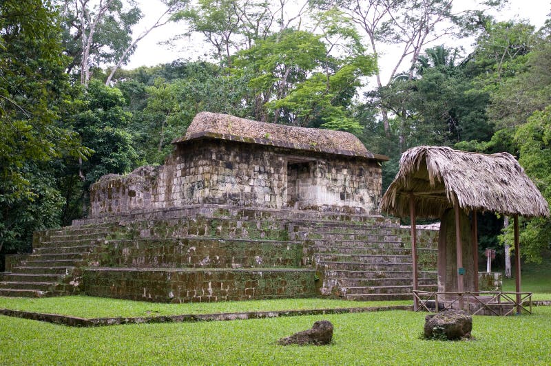 Mayan ruins of el ceibal stock images