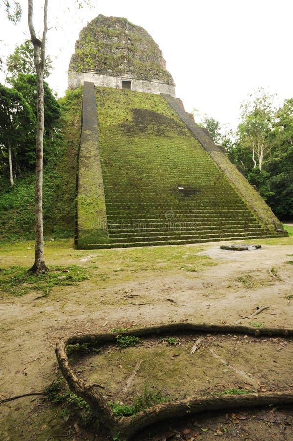 The Mayan ruins of Tikal stock photography