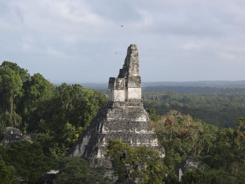 Mayan Temple at Tikal