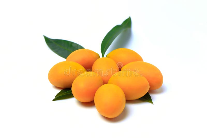 Mayongchid , Mayongchit marian plum, gandaria, plum mango,white background stock photo