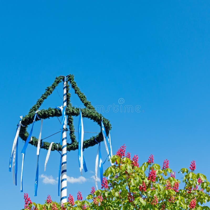 Maypole and Blossoms of a Chestnut Tree Isolated on Blue Sky Stock