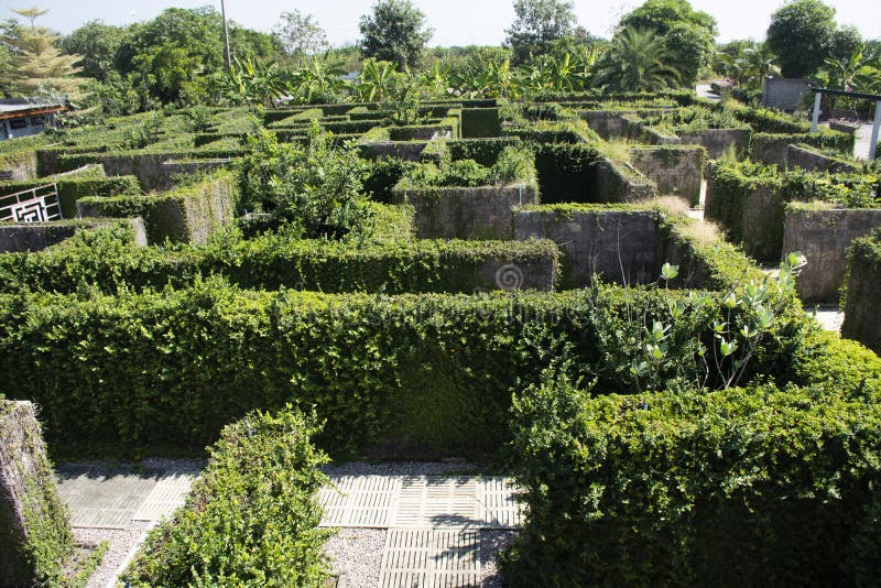 Maze Outdoor Stock Photos Download 2 486 Royalty Free Photos