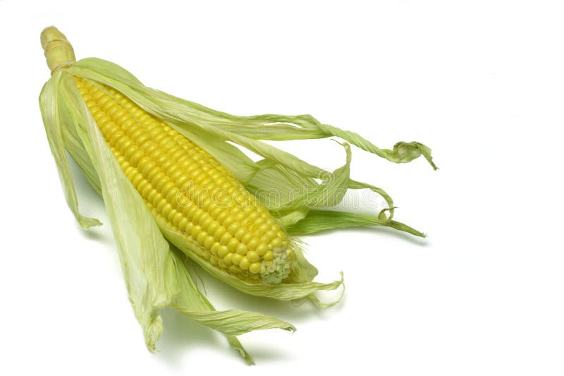 Mazorca de maíz 2