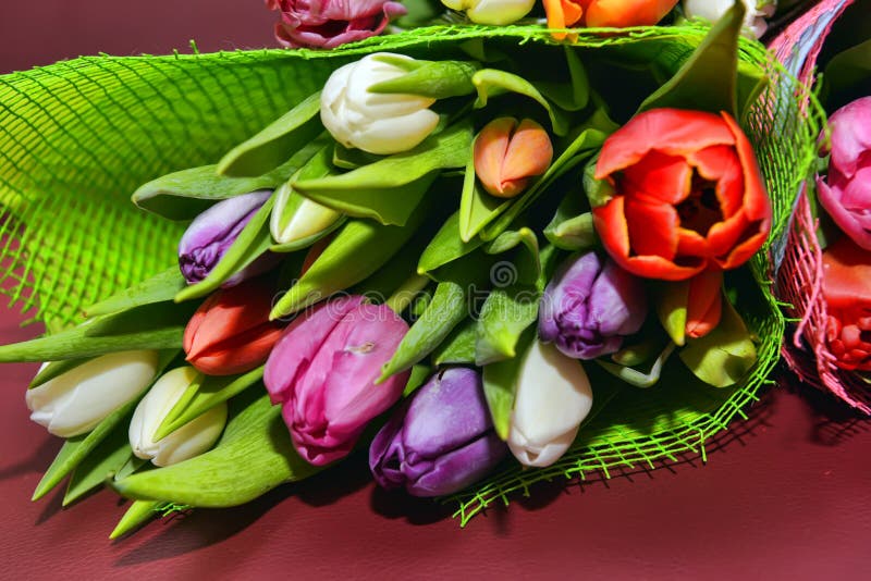 Tulipani dei mazzi immagine stock. Immagine di pink, mazzi - 49551845