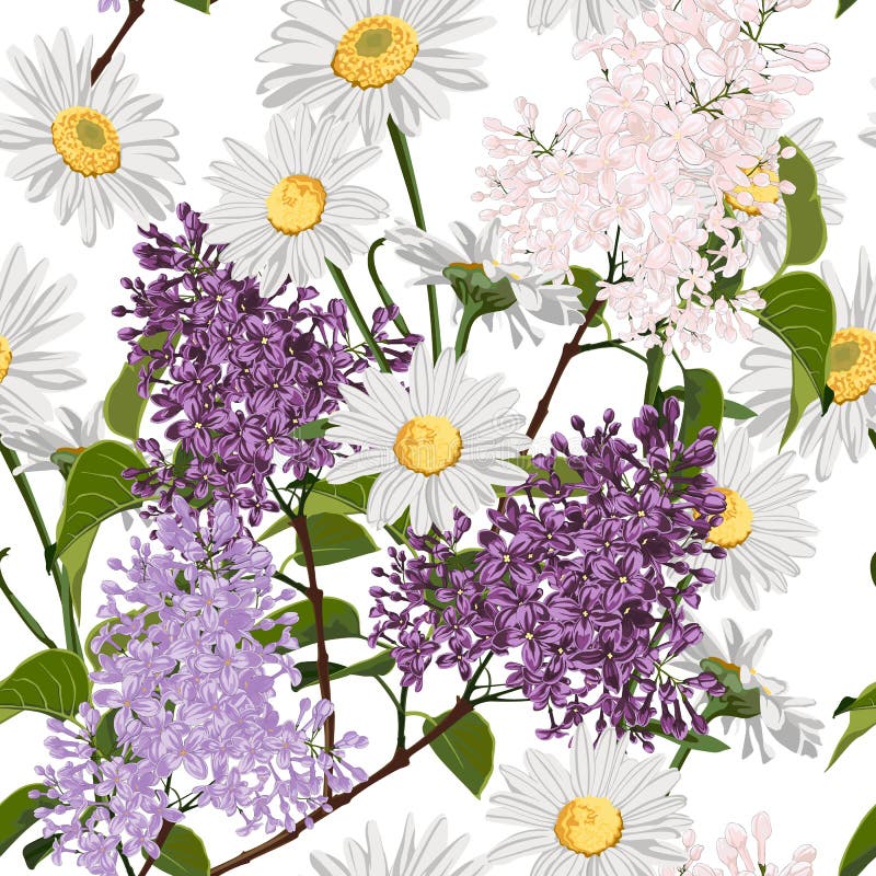 Mazzi della primavera sui precedenti bianchi Modello senza cuciture con i fiori delicati illustrazione di stock Mazzi della primavera sui precedenti bianchi Modello senza cuciture con i fiori delicati illustrazione di stock