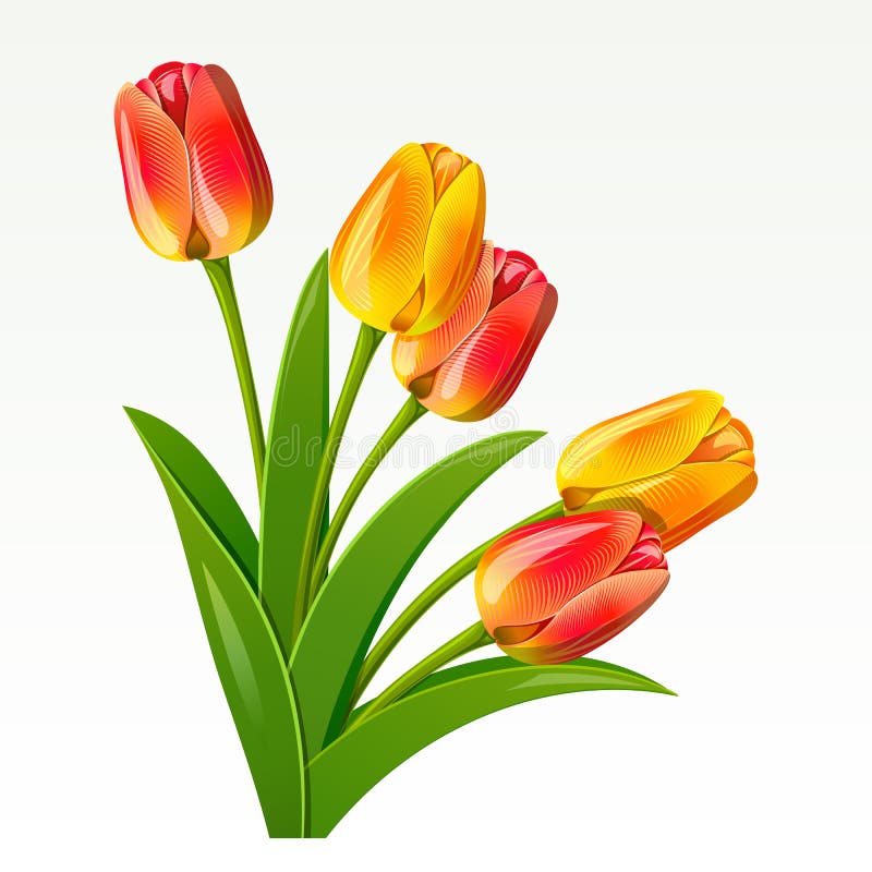 Mazzo royalty illustrazione gratis Mazzo royalty illustrazione gratis