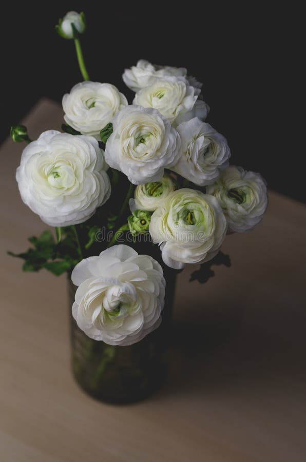 Ranunculus Bianco Del Ranuncolo Del Mazzo Dei Fiori in Vaso Di Vetro Su Una  Tavola Di Legno Natura Morta, Stile Rustico, Toni Scu Fotografia Stock -  Immagine di petalo, nero: 70989996