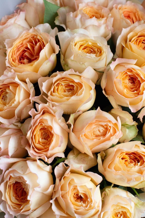 Mazzo dei fiori su una gamba all'interno del ristorante per un negozio di celebrazione floristry o il salone di nozze immagine stock Mazzo dei fiori su una gamba all'interno del ristorante per un negozio di celebrazione floristry o il salone di nozze immagine stock