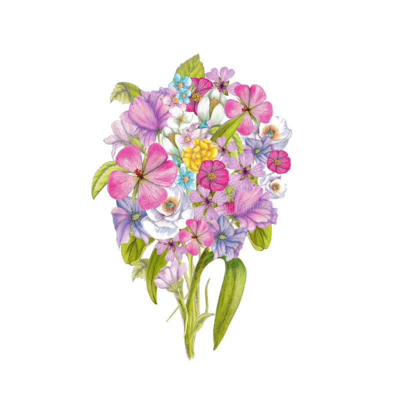 Mazzo dei wildflowers illustrazione di stock