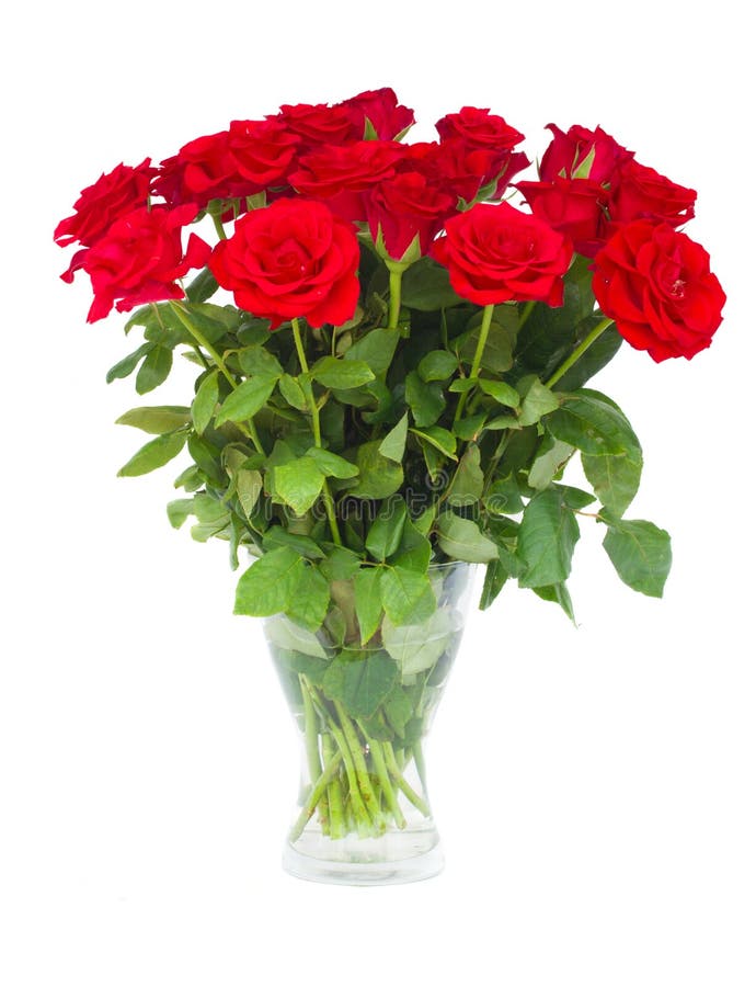Mazzo del color scarlatto delle rose in vaso
