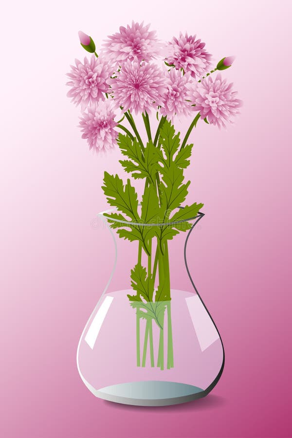 Bouquet di crisantemi rosa in vaso illustrazione di stock