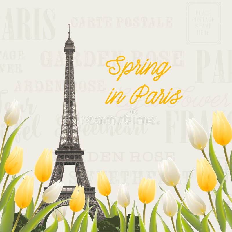 Mazzo del tulipano e della torre Eiffel Primavera nel segno di Parigi Mazzo del tulipano sopra il modello grigio del testo Modello elegante della stampa Illustrazione di vettore