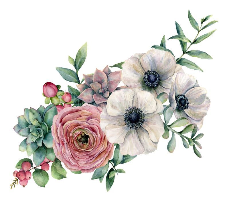 Mazzo dell'acquerello con il succulente, il ranunculus e l'anemone Fiori dipinti a mano, foglie di eucaliptus e ramo succulente illustrazione di stock
