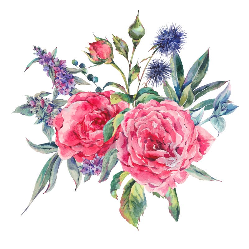 Mazzo dell'acquerello delle rose e dei wildflowers illustrazione vettoriale