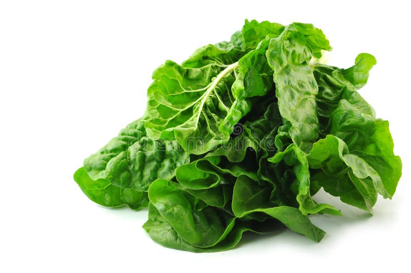 Chard (Collards, Greens, Kale, Mustards, Spinach) isolated on the white. Chard (Collards, Greens, Kale, Mustards, Spinach) isolated on the white