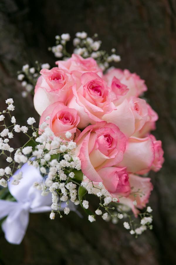 Wedding bouquet of pink roses. Wedding bouquet of pink roses