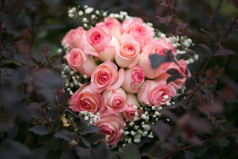 wedding bouquet of pink roses in the bushes. wedding bouquet of pink roses in the bushes