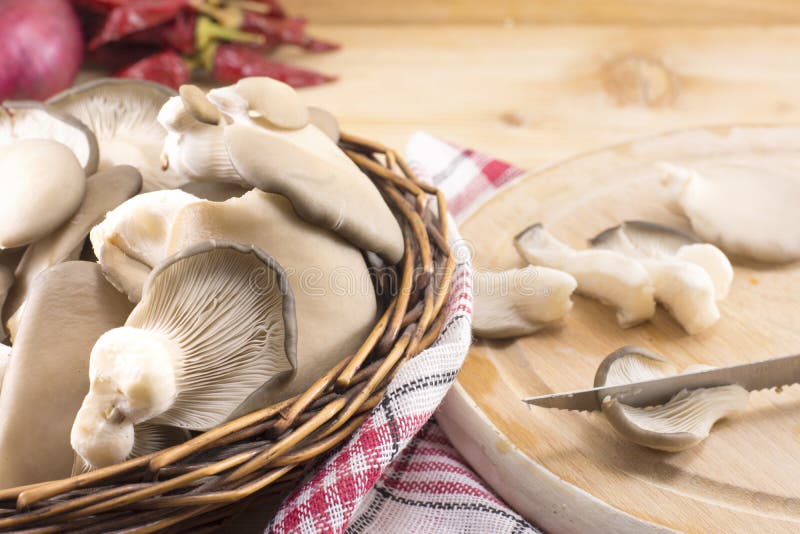 Mazzo di funghi di ostrica immagini stock libere da diritti Mazzo di funghi di ostrica immagini stock libere da diritti