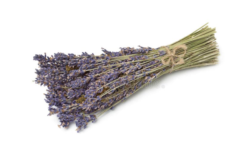 Mazzo di lavanda secca fotografia stock Mazzo di lavanda secca fotografia stock