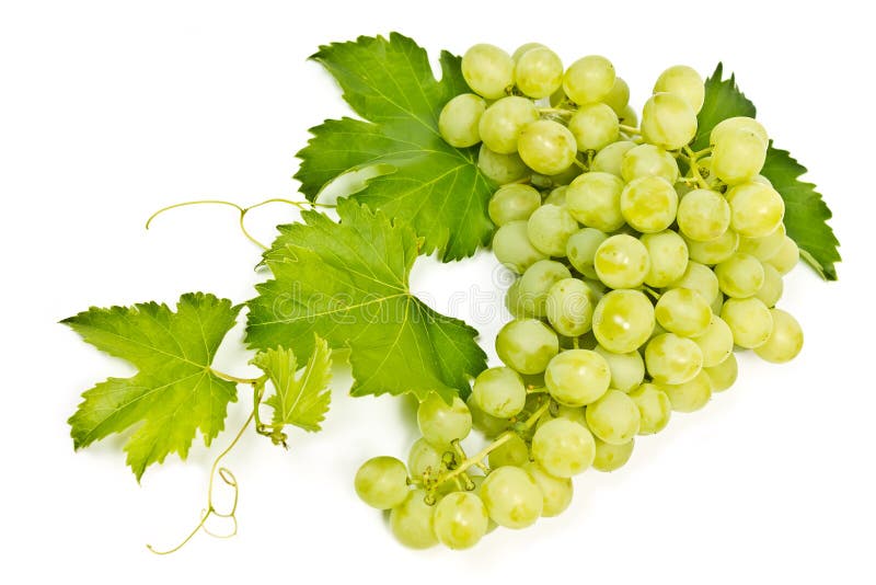 Mazzo di uva verde immagini stock Mazzo di uva verde immagini stock