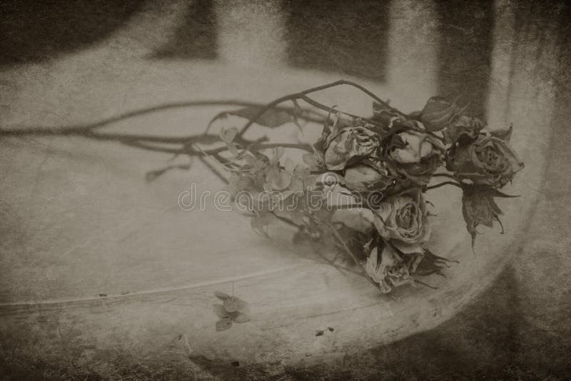Mazzo inaridito abbandonato fotografie stock Mazzo inaridito abbandonato fotografie stock