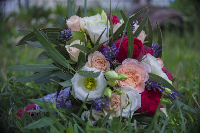 Mazzo nuziale della sposa nell'erba verde di luglio immagini stock libere da diritti Mazzo nuziale della sposa nell'erba verde di luglio immagini stock libere da diritti