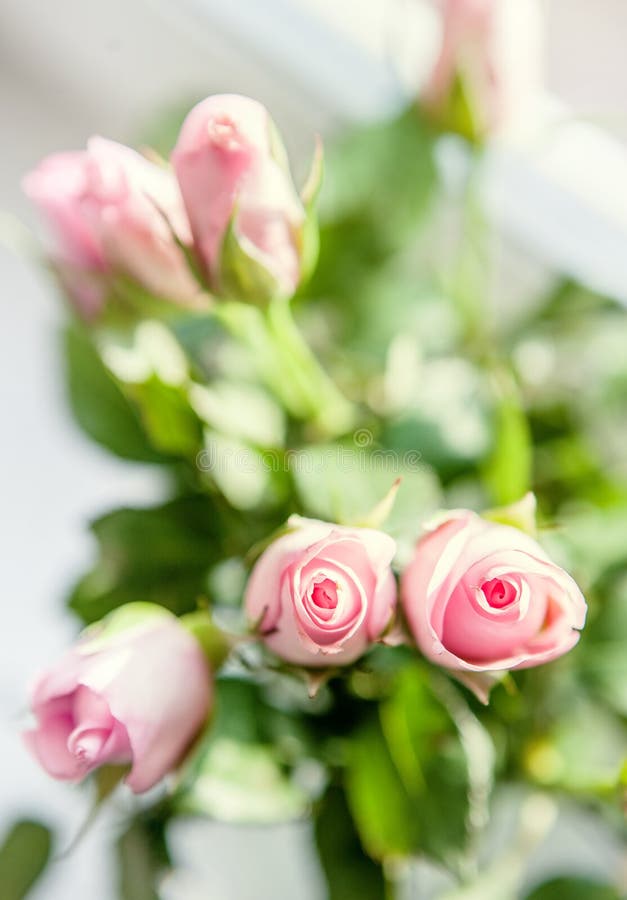 Mazzo rosa piccolo delle rose sul davanzale nella luce intensa fotografia stock libera da diritti Mazzo rosa piccolo delle rose sul davanzale nella luce intensa fotografia stock libera da diritti