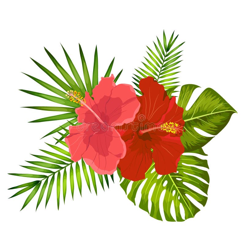 Mazzo tropicale di vettore adorabile Ibisco e foglie di monstera Fiori e foglie di palma esotici royalty illustrazione gratis Mazzo tropicale di vettore adorabile Ibisco e foglie di monstera Fiori e foglie di palma esotici royalty illustrazione gratis