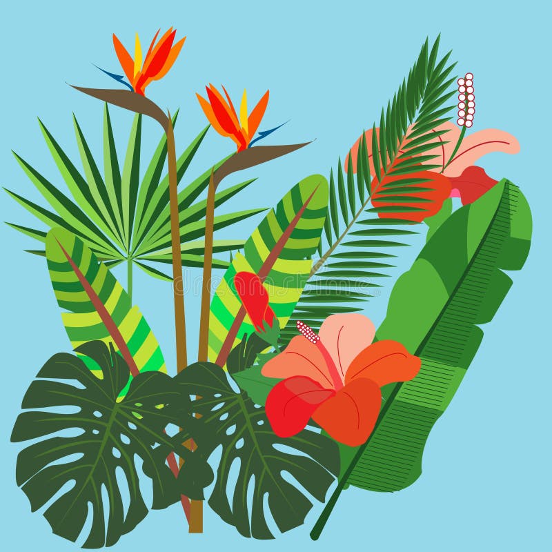 Mazzo vivo di fiori e di piante tropicali differenti illustrazione vettoriale Mazzo vivo di fiori e di piante tropicali differenti illustrazione vettoriale