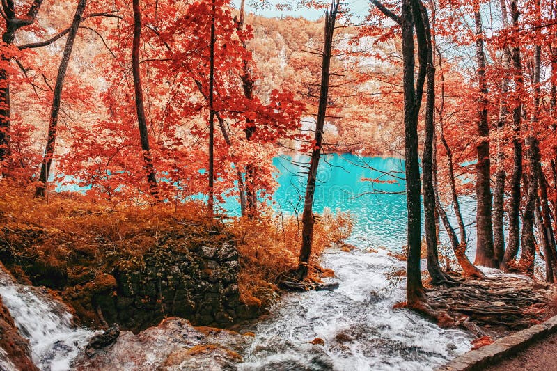 Mała siklawa jeden zadziwiający Plitvice jeziora w jesieni, Chorwacja Szczerze cudowny i dziewiczy kawałek natura fotografia stock Mała siklawa jeden zadziwiający Plitvice jeziora w jesieni, Chorwacja Szczerze cudowny i dziewiczy kawałek natura fotografia stock