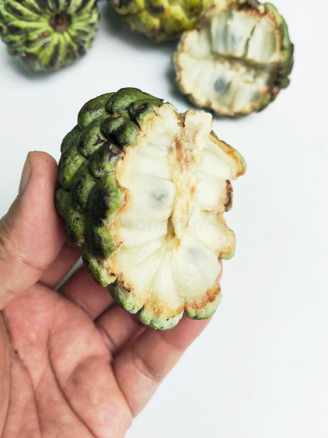 Maçã-do-conde fresca com polpa branca e doce ilustração royalty free