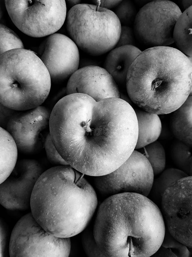 Maçã do coração, preta e branca foto de stock