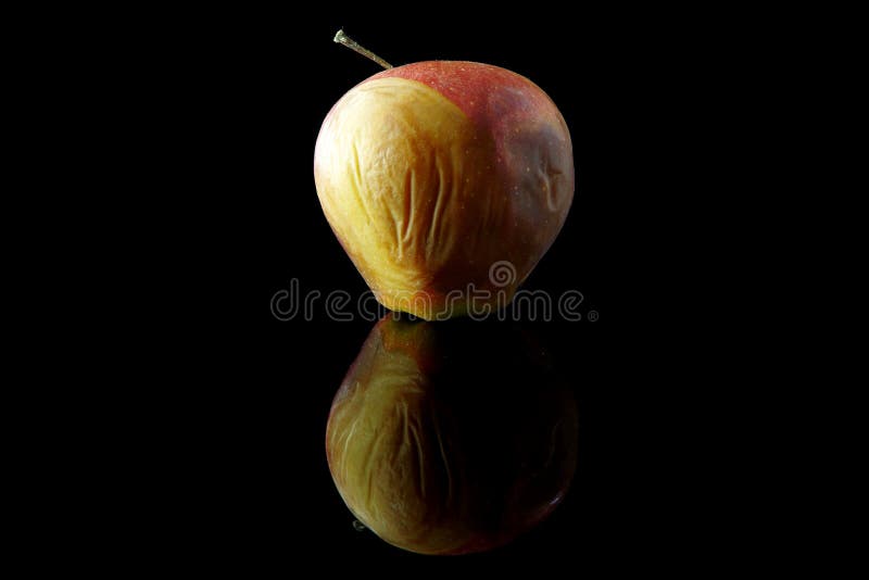 Maçã podre sobre fundo negro foto de stock royalty free