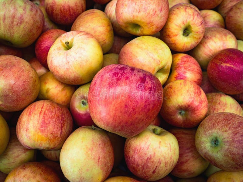 Maçãs bonitas maduras fotos de stock