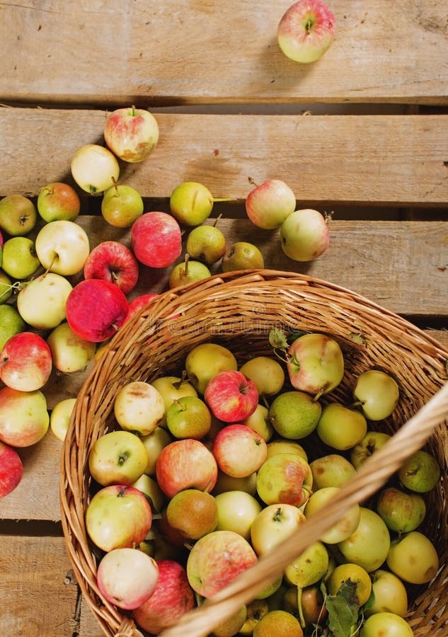 Maçãs bonitas na cesta foto de stock