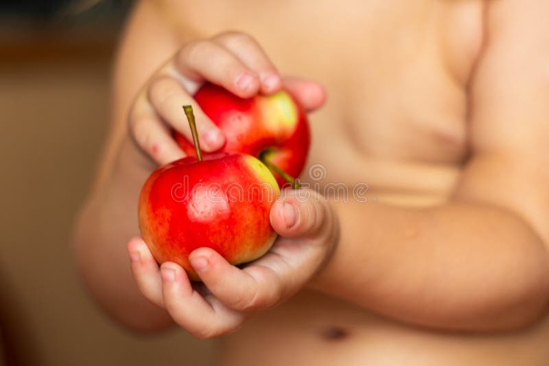 Maçãs bonitas nas mãos da criança fotografia de stock