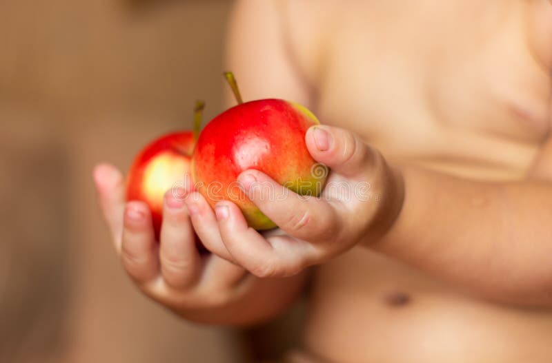 Maçãs bonitas nas mãos da criança fotografia de stock