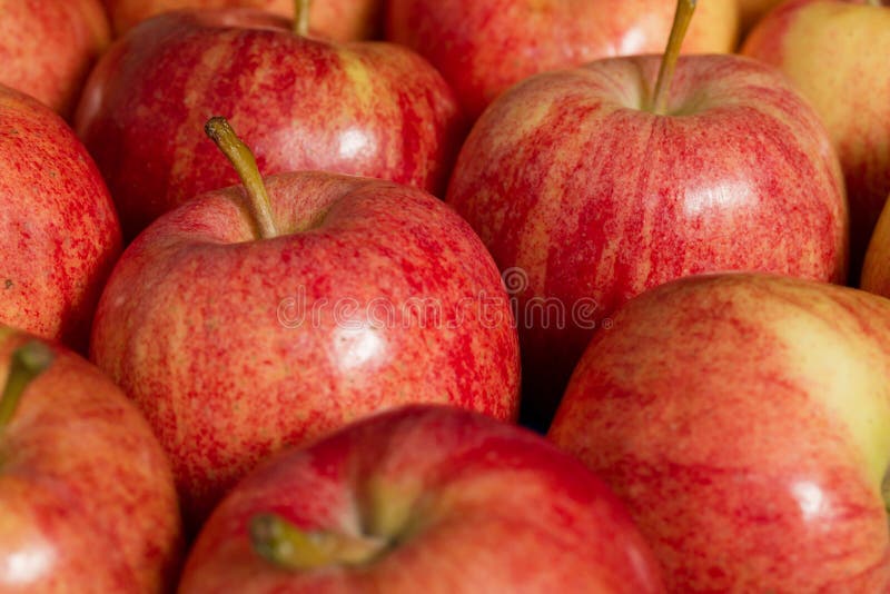 Maçãs frescas imagem de stock Maçãs frescas imagem de stock