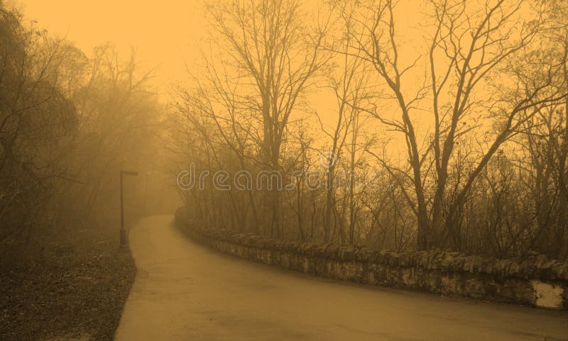 Paved pathway along the edge of the Hamilton Escarpment (Canada), on an foggy morning. Paved pathway along the edge of the Hamilton Escarpment (Canada), on an foggy morning.