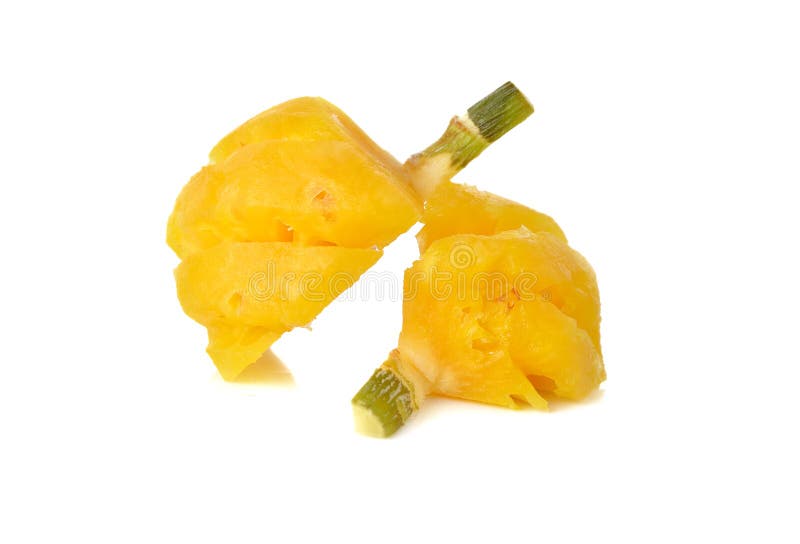 Mały ananas z trzonem na bielu zdjęcia royalty free Mały ananas z trzonem na bielu zdjęcia royalty free