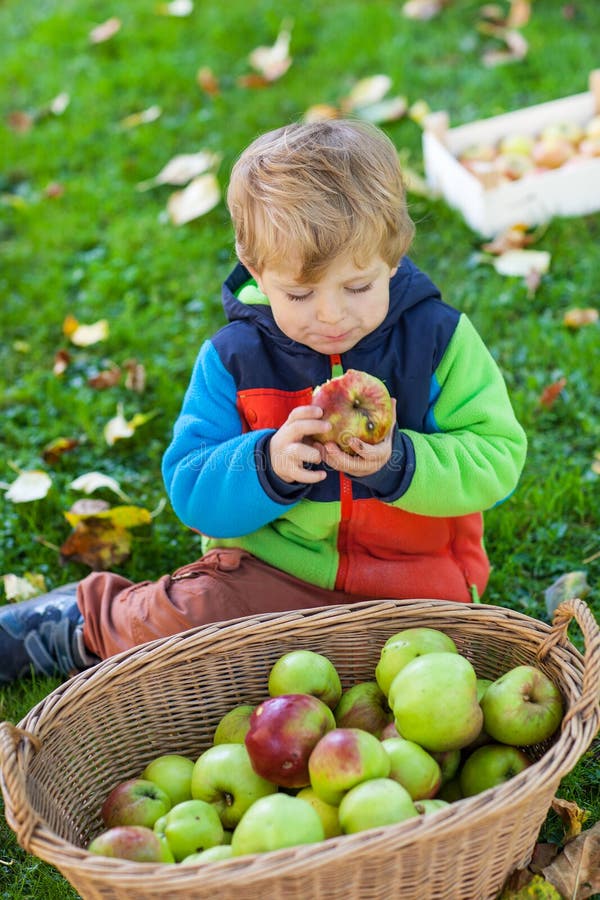 Mały berbeć chłopiec łasowania jabłko