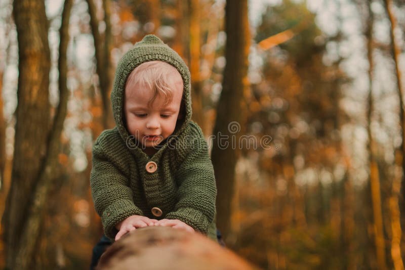 Mały ciekawy chłopiec na spacerze w naturze siedzący w pniu drzewa. fotografia royalty free