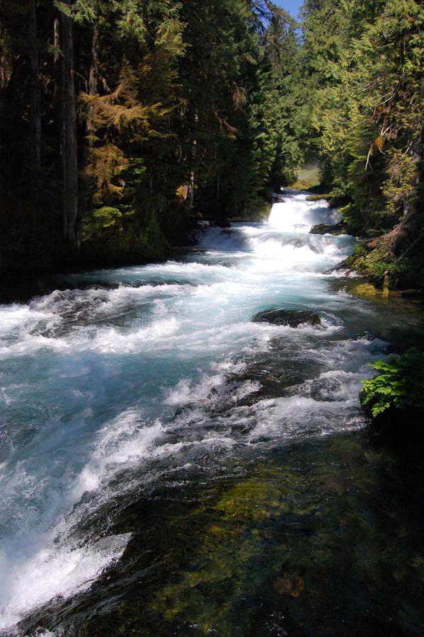 The Mckenzie River in Western Oregon